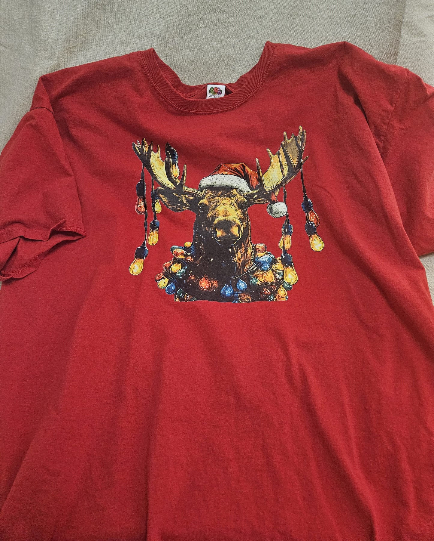 1 Moose with Christmas Lights