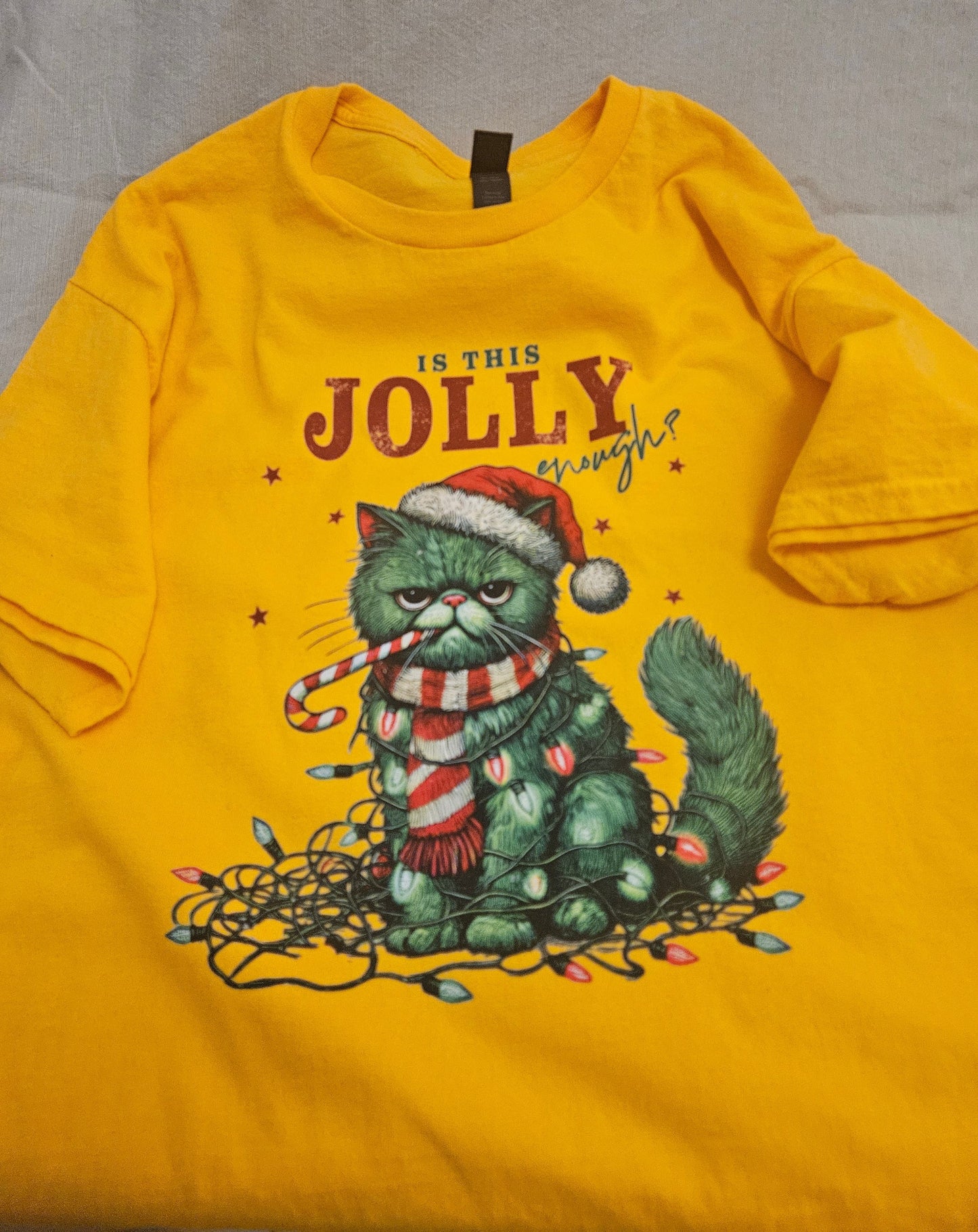1 Jolly Cat