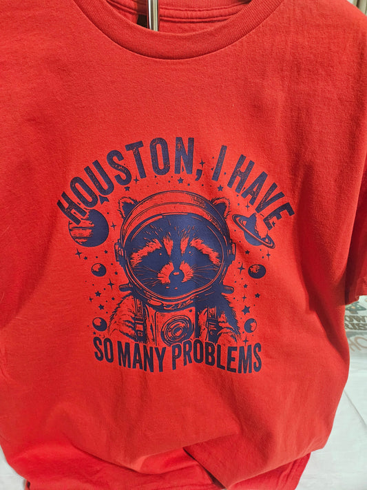 Houston I Have Many Problems